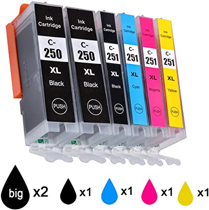 PACK CARTOUCHE CANON 250-6620 INKWELL